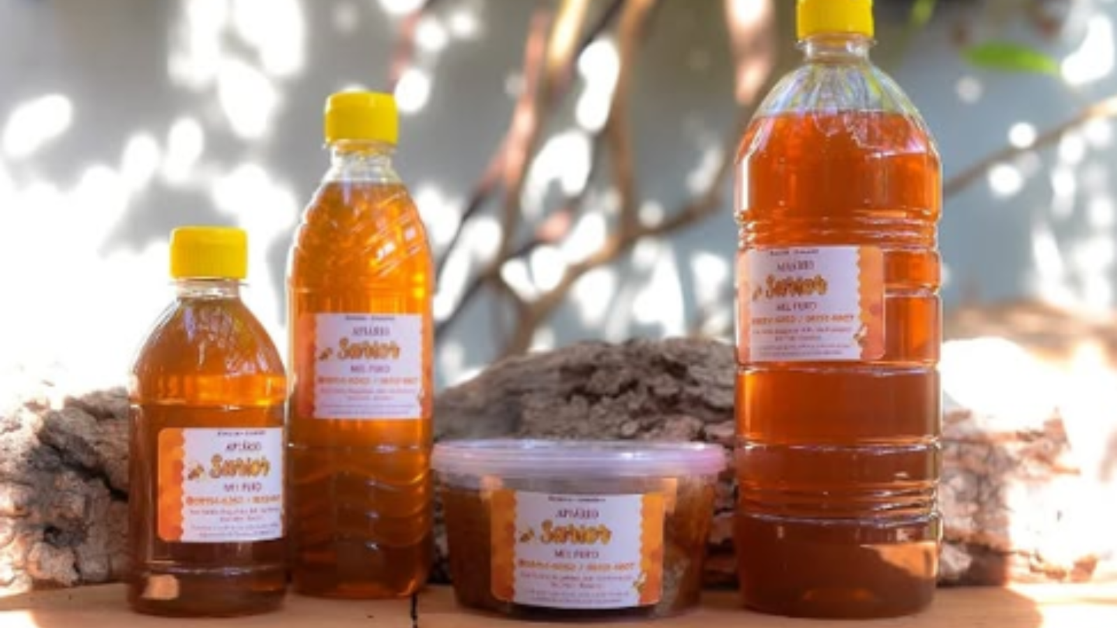 Mel orgânico da Amazônia do Apiário Sartor