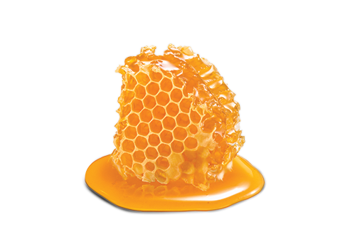 Favo de mel Apiário Sartor